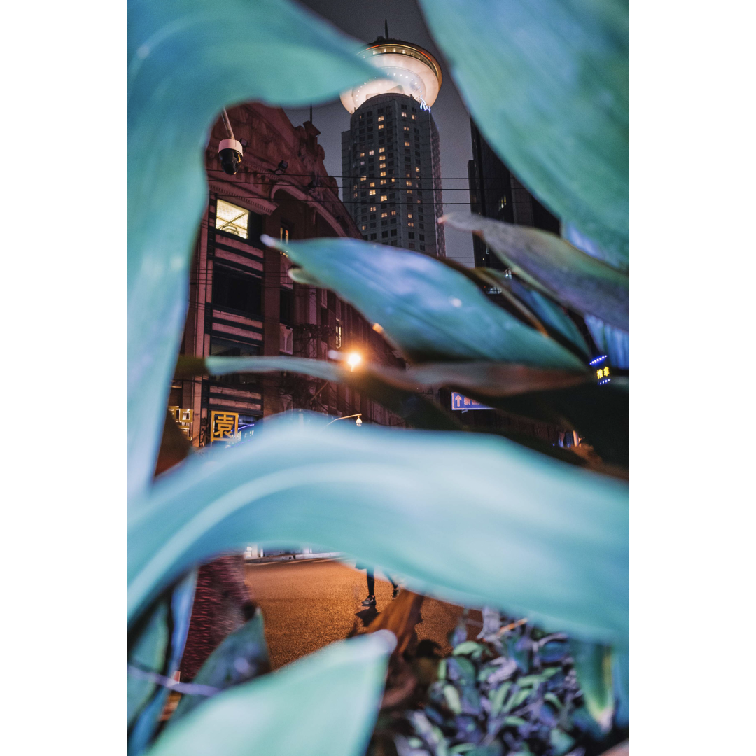 640 (7).png