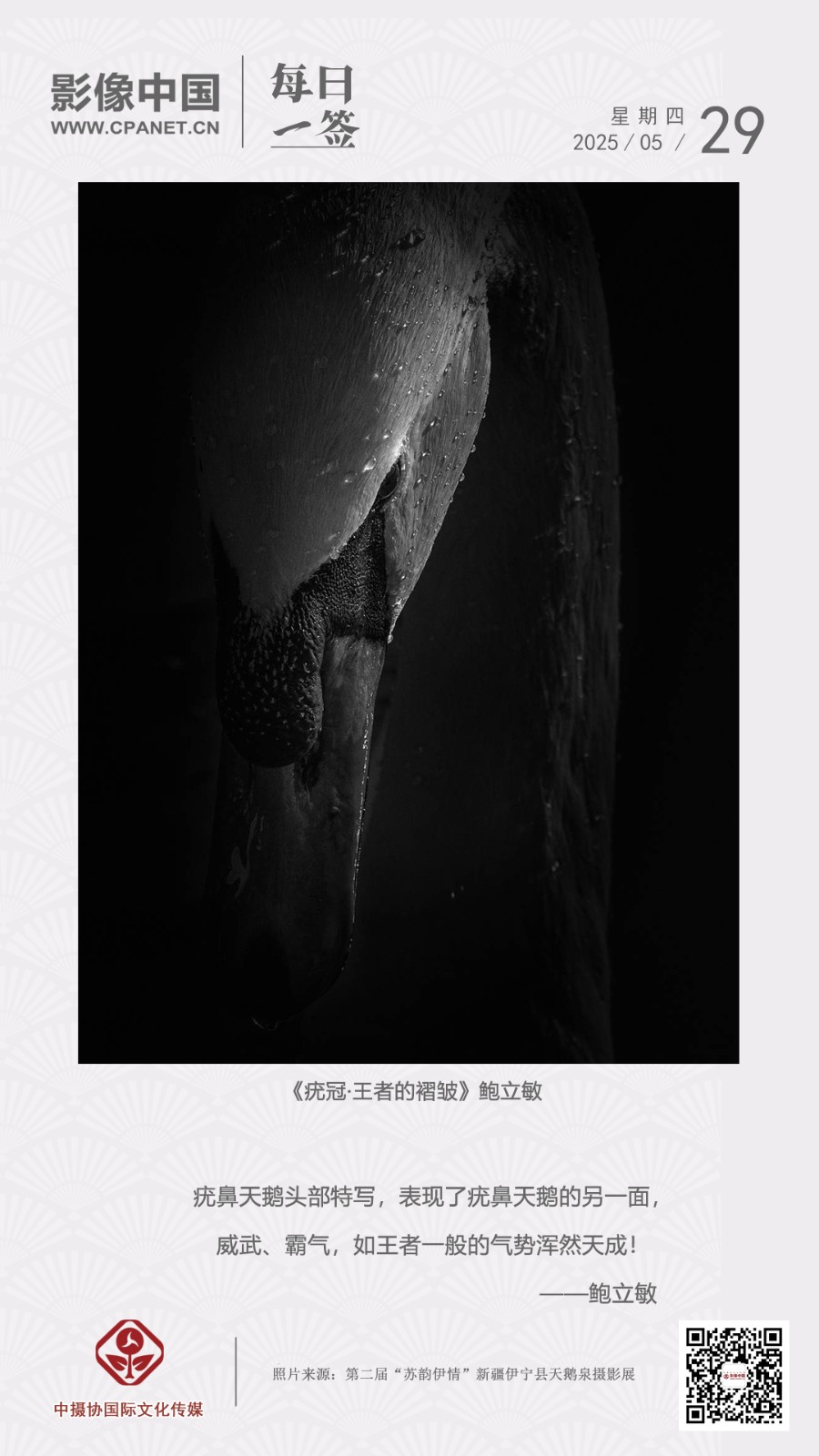 2025.5.29 拷貝.jpg